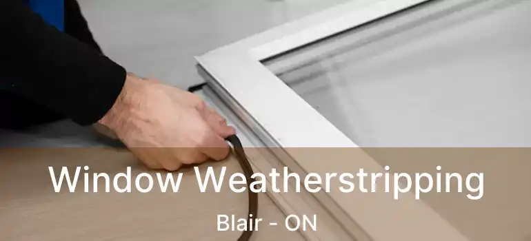  Window Weatherstripping Blair - ON