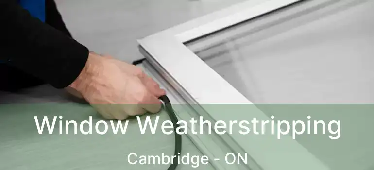  Window Weatherstripping Cambridge - ON