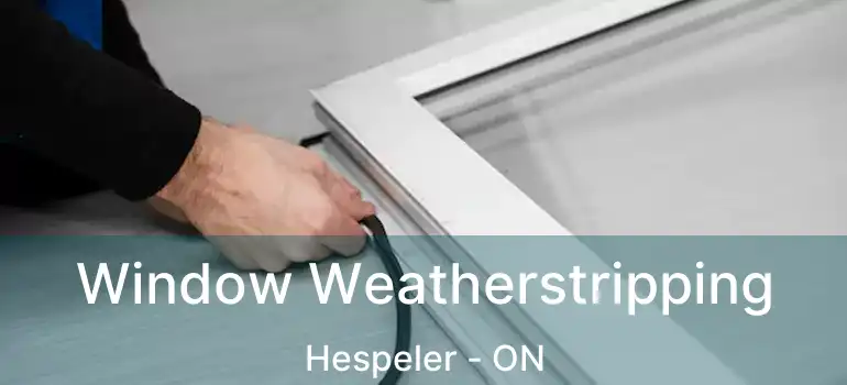  Window Weatherstripping Hespeler - ON
