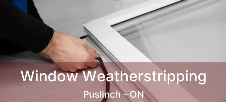  Window Weatherstripping Puslinch - ON