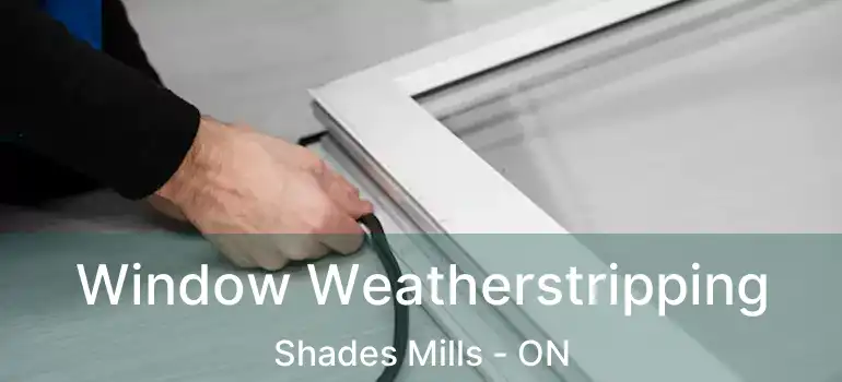 Window Weatherstripping Shades Mills - ON