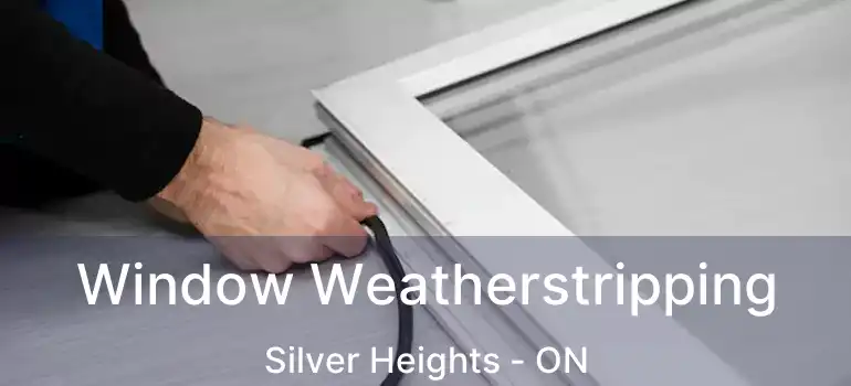  Window Weatherstripping Silver Heights - ON