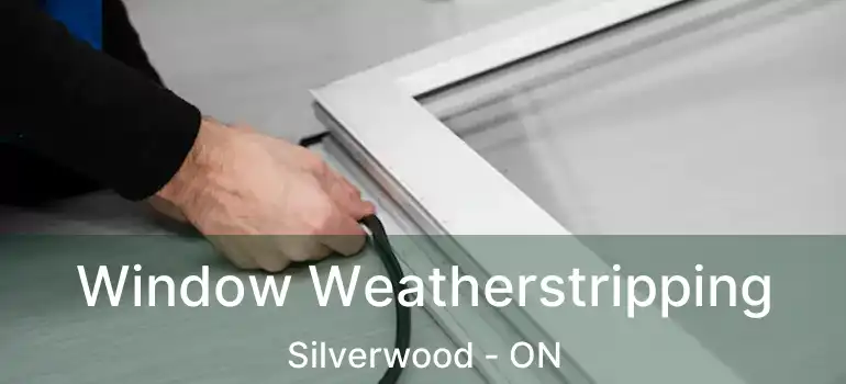  Window Weatherstripping Silverwood - ON