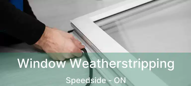  Window Weatherstripping Speedside - ON