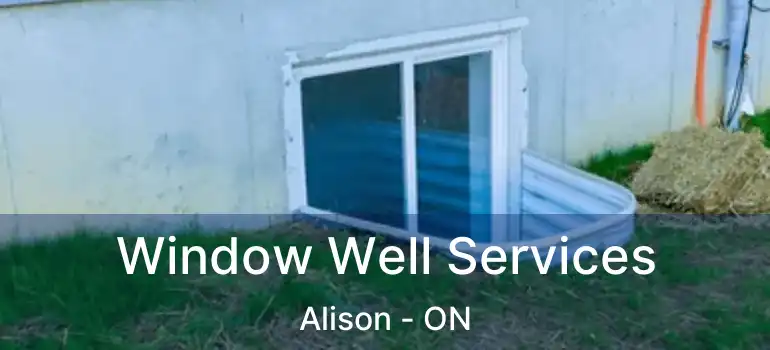 Window Well Services Alison - ON