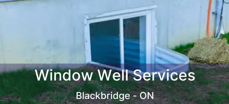  Window Well Services Blackbridge - ON