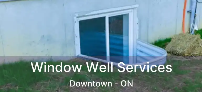 Window Well Services Downtown - ON