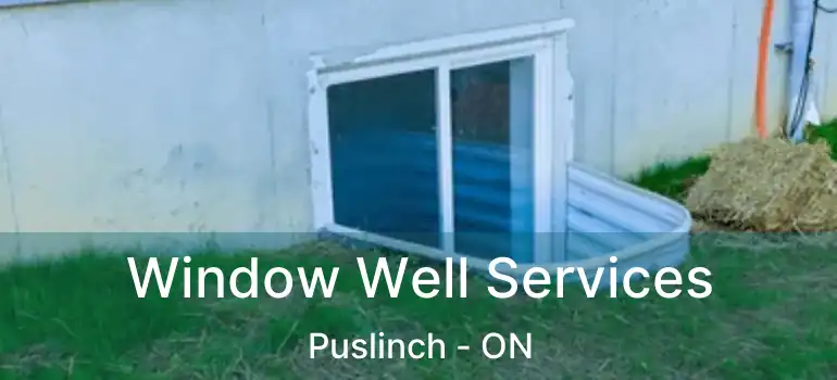  Window Well Services Puslinch - ON