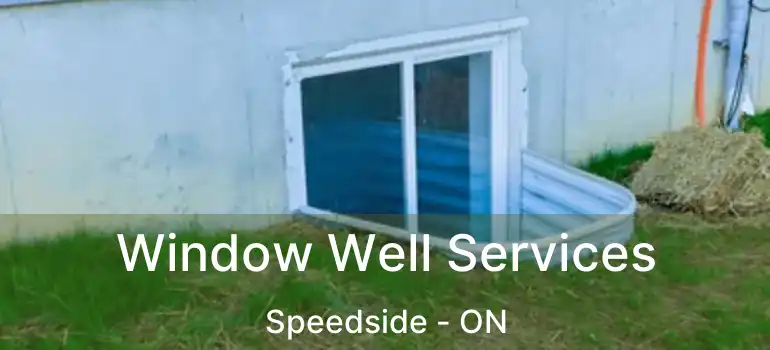  Window Well Services Speedside - ON