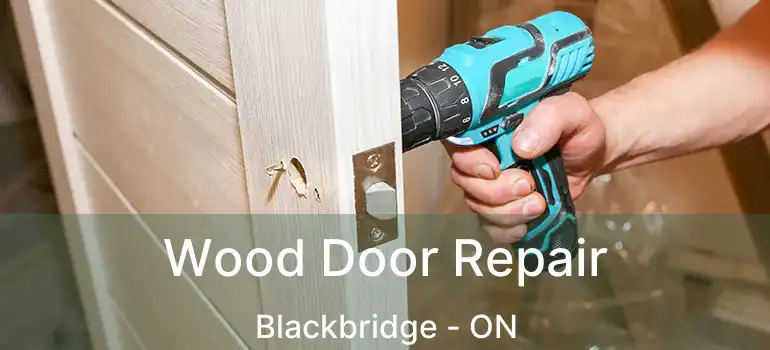  Wood Door Repair Blackbridge - ON