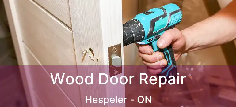  Wood Door Repair Hespeler - ON