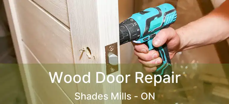  Wood Door Repair Shades Mills - ON