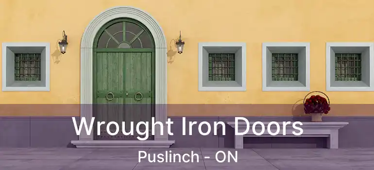  Wrought Iron Doors Puslinch - ON